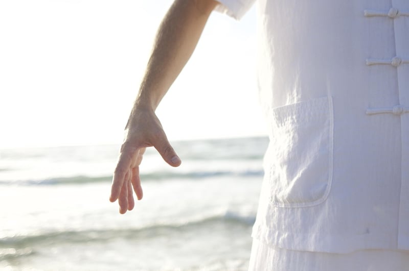 Wu Style Tai Chi